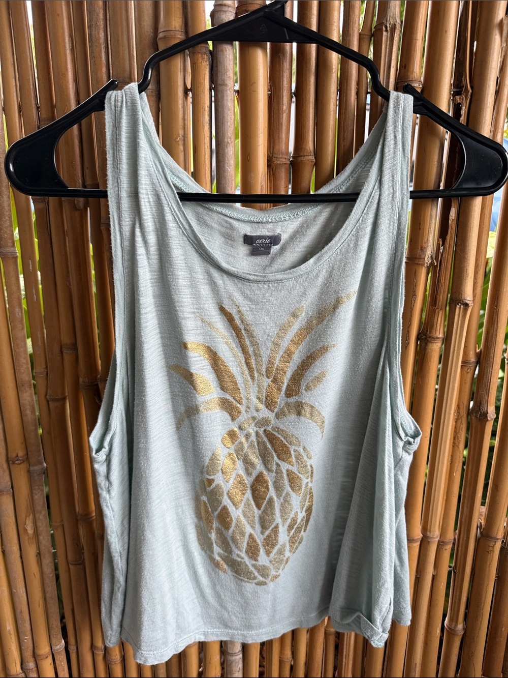 aerie Mint Green/blue Tank Top with Metallic Gold Pineapple